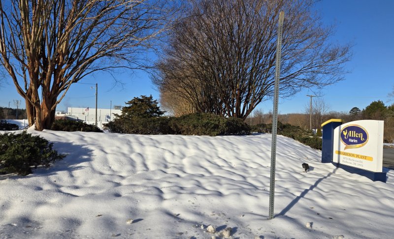 Allen Harim has requested an amendment to the permit for its on-site wastewater treatment operation in Harbeson. The change would allow the company to increase the amount of poultry wastewater from facilities in Dagsboro and Millsboro. CHRIS FLOOD PHOTO